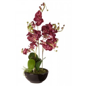 Fiori Artificial flowers Fiori Purple Orchid Plant