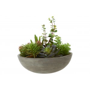 Fiori Stone Effect Pot Mixed Succulent