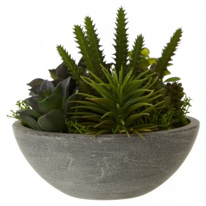 Fiori Paper Stone Effect Pot Mixed Succulent