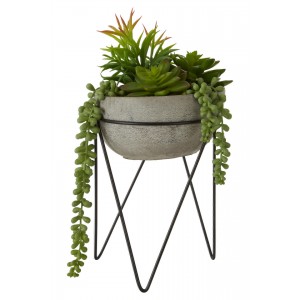 Fiori Mixed Succulent with Metal Stand