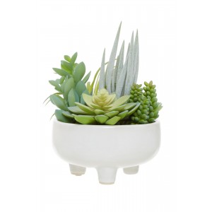 Fiori Mixed Succulents In Large Ceramic Pot