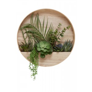 Fiori Mixed Succulents In Wood Wall Planter